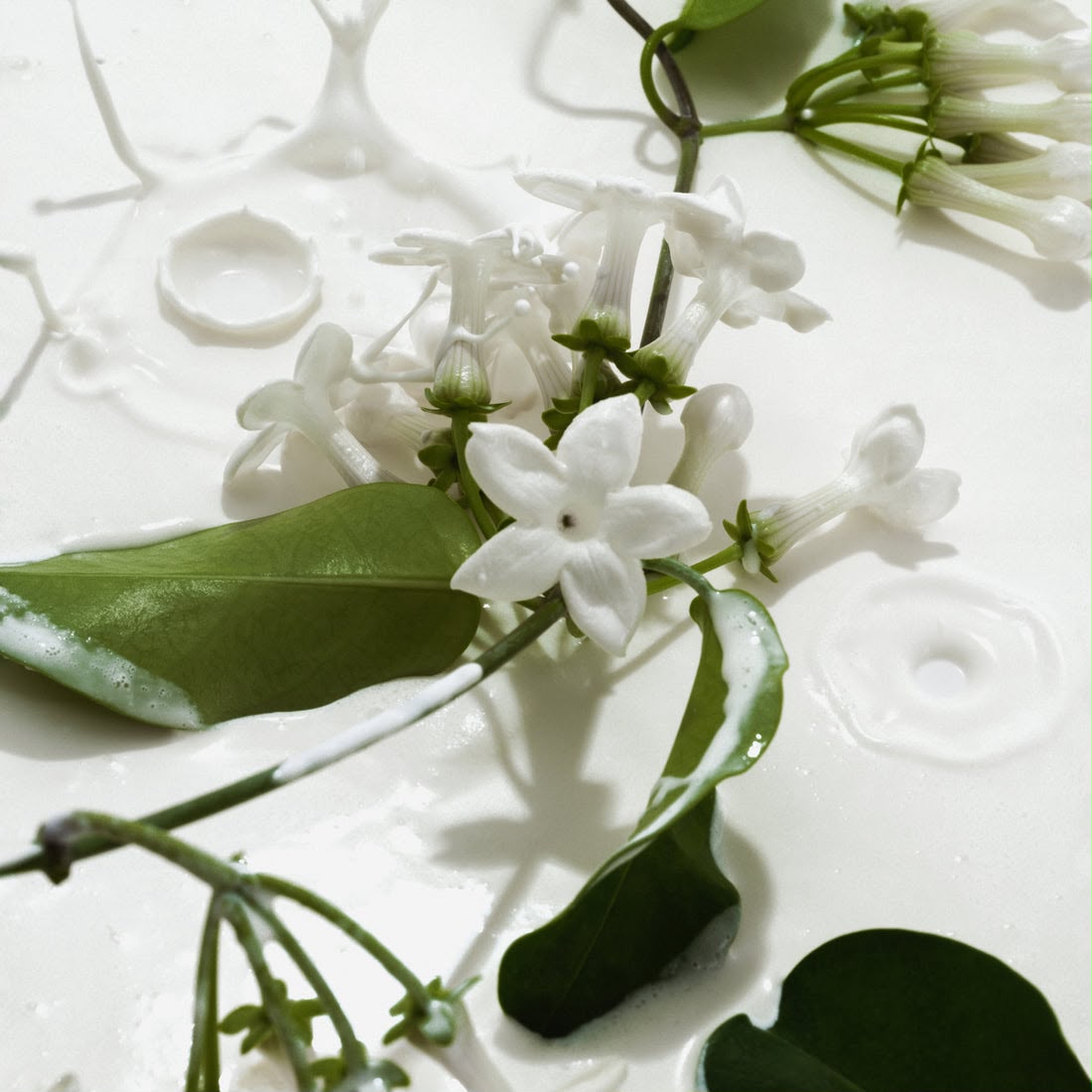 Phlur Perfume Heavy Cream.