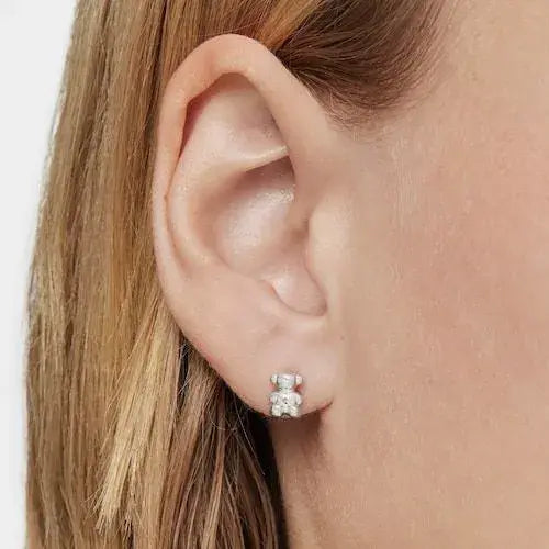 Aros oso bold bear, Tous.